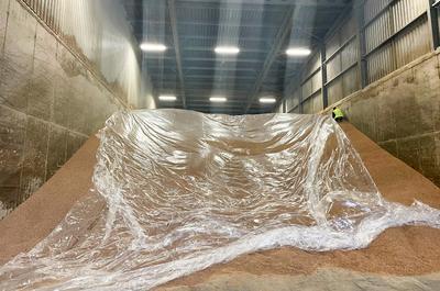 A Best Pest Fumigations operative sealing a grain bulk with polythene sheeting