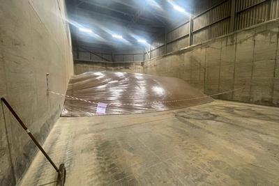 Sealed grain heap with a fumigation danger warning sign and safety barrier tape in a concrete grain store