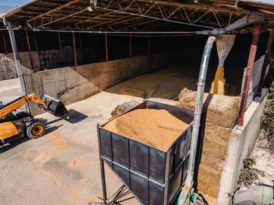 Aerial view of an open grain store with a telehandler loading grain into a bulk bin